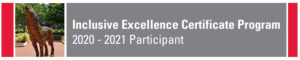 Inclusive Excellence Certificate 2020 - 2021